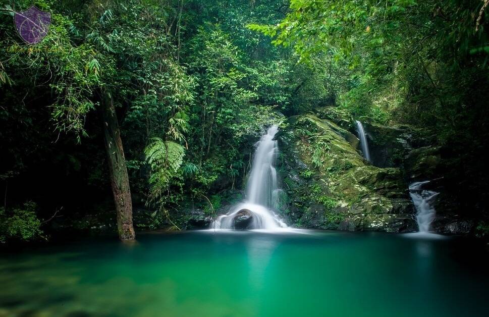 Bach Ma National Park Tour - A Complete Guide for Travelers 2024 image 1