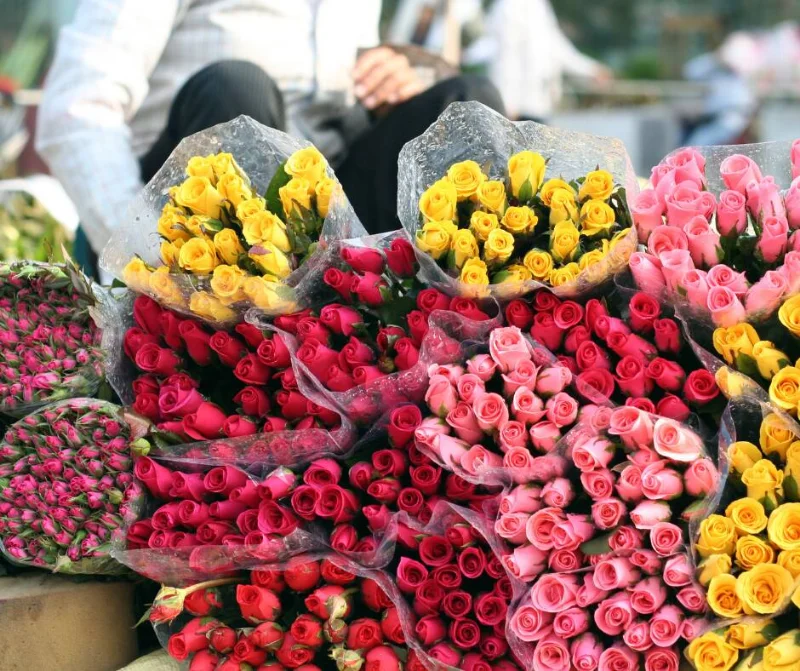 Saigon Backstreets back of the bike tours saigon