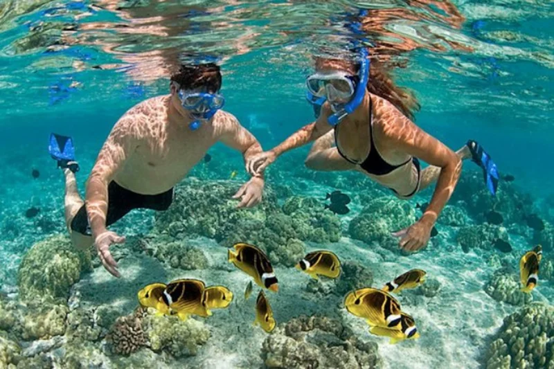 Nha Trang Snorkeling Day Tour nha trang snorkeling tour