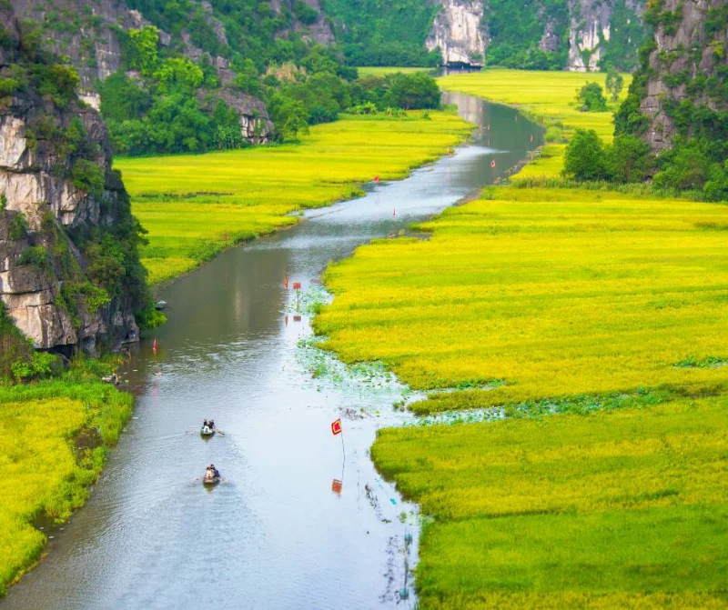 Ninh Binh Day Tour (Hoa Lu-Trang An-Hang Mua) trang an ninh binh
